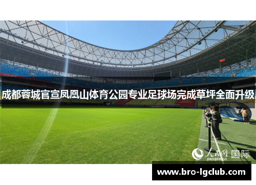 成都蓉城官宣凤凰山体育公园专业足球场完成草坪全面升级